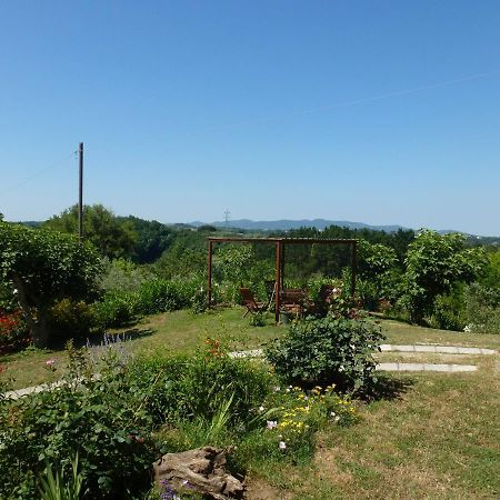 Agriturismo Poggio Al Tesoro Crespina Luaran gambar