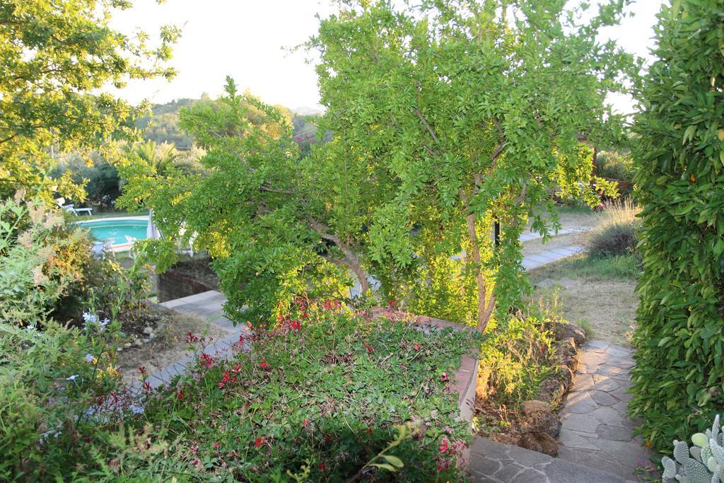 Agriturismo Poggio Al Tesoro Crespina Luaran gambar