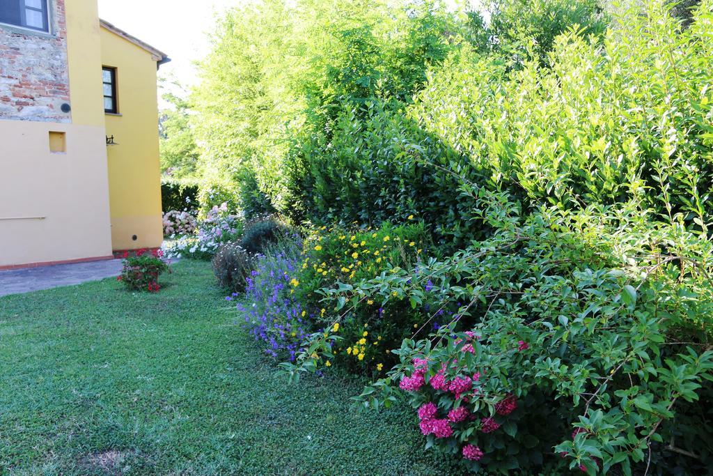 Agriturismo Poggio Al Tesoro Crespina Luaran gambar